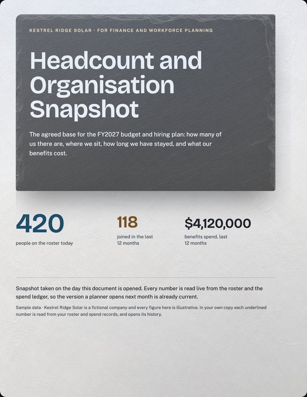 Illustrative cover for Headcount and Organisation Snapshot