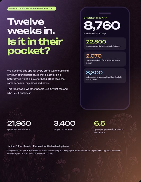 Illustrative cover for Employee App Adoption Report
