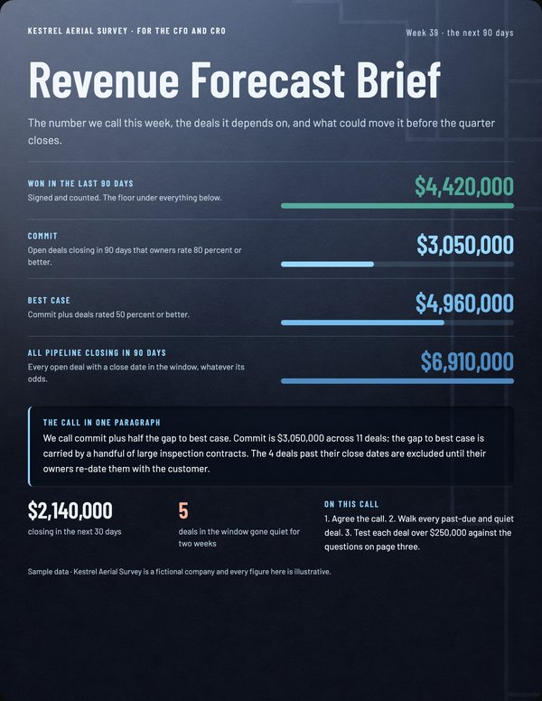 Illustrative cover for Revenue Forecast Brief