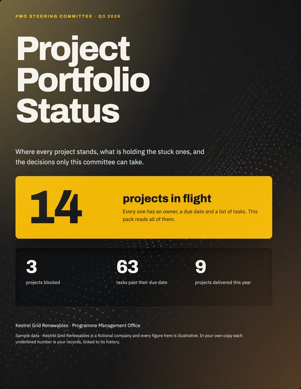Illustrative cover for Project Portfolio Status